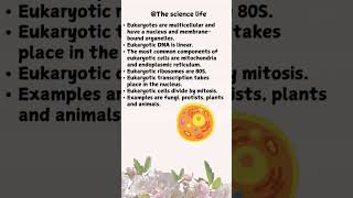 Prokaryotes VS Eukaryotes Whats the differenceprokaryotes eukaryotes shorts [upl. by Saba86]