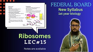 Ribosomes  Ribosomes structure and function  class 11 [upl. by Savart18]