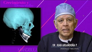 CRECIMIENTO Y DESARROLLO MANDIBULAR PARTE 1 [upl. by Aneetsyrk]