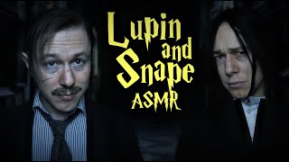 Professor Lupin amp Snape ASMR  Hogwarts Halloween Harry Potter ASMR Personal Attention amp Potions [upl. by Secnarf]