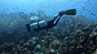 Stay Underwater TWICE as Long with Sidemount DIVETALK meetup in Bonaire sidemount sidemountdiving [upl. by Happ]