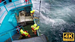 Life On USs Largest Longline Fishing Vessel  Fishing On the High Seas [upl. by Lemuelah]