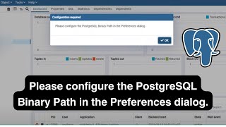 pgAdmin Guide Solving the quotPlease configure the PostgreSQL Binary Pathquot Issue [upl. by Pedaiah]