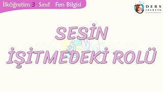 SESİN İŞİTMEDEKİ ROLÜ [upl. by Reinaldo106]