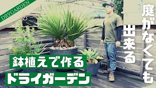 【お庭がない人必見！】鉢植えで作るドライガーデン！！ [upl. by Cheney]