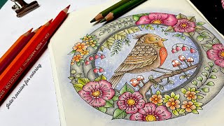 🌸 SMALL VICTORIES by Johanna Basford 🌺 KohINoor Polycolor pencils 🌻 easy coloring tutorial [upl. by Mahmud]