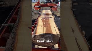 Pignut Hickory hickory sawmilling sawmilllife boards crafting liveedgewood lumber [upl. by Schechinger223]