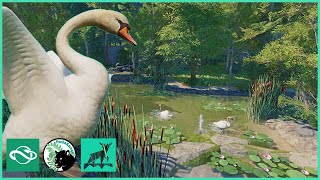 The SWAN Song  Raven Creek Park  Planet Zoo  40 [upl. by Corene]