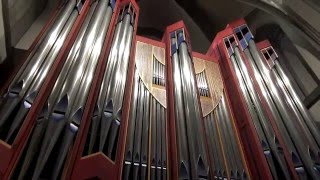 Passio for organ by HansAndré Stamm [upl. by Quintina63]