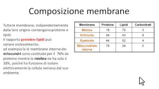 Composizione chimica membrane [upl. by Lleral]