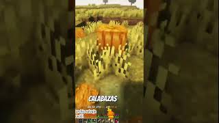 ¡Descubriendo secretos de las calabazas en Minecraft 🎃 shorts [upl. by Novel318]