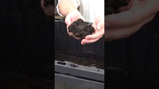 How To Use Worm Castings Lawn amp Garden [upl. by Yelsha]