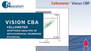 Imagebased Analysis of Mitochondrial Membrane Potential [upl. by Gloria988]