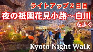 323土夜の京都祇園を歩く桜開花状況祇園白川ライトアップ2日目【4K】Kyoto Japan Walk [upl. by Sucramd]