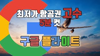 ✈️최저가 항공권 예매 고수들은 구글 플라이트 심화 [upl. by Tressia]