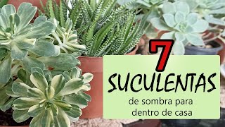 7 SUCULENTAS de SOMBRA para ter DENTRO de CASA [upl. by Laurentia]