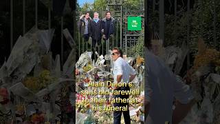 Alain Delon Funeral 🥹💔⚰️ alaindelon antesedepois beforeandafter [upl. by Uria]