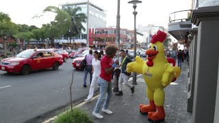 ¿Cómo participar en el Chinamo con la Gollo Cumbia  Gollo [upl. by Latreshia540]