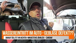 Wasser im Auto  Gebläse defekt  daran kann es liegen [upl. by Tichon]