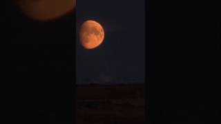 Shooting the moon with s22 ultra shoot shorts moon iceland youtubeshorts youtubeviral [upl. by Dulcy]