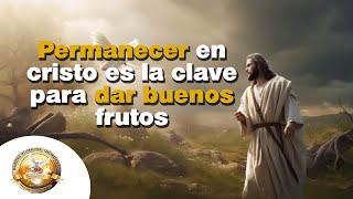 Permanecer en Cristo es la Clave para dar Buenos Frutos [upl. by Schaper]