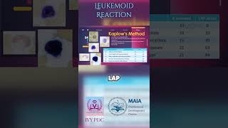 LAP Score for Leukemoid Reaction vs CML [upl. by Beane591]