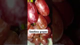 grapelovers seedless seedlessgrapes satisfying food fruitsshorts youtubeshorts viralshort [upl. by Aehta]