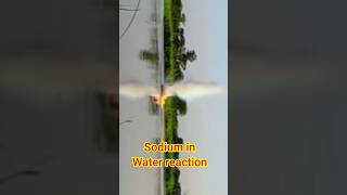 sodium water reaction experiment sodium class10 experiment chemistry sodiumwaterreaction [upl. by Shanta]