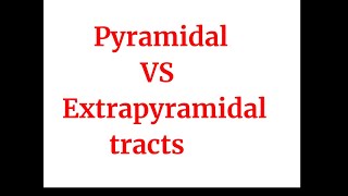 Pyramidal vs Extrapyramidal tracts [upl. by Anyak]