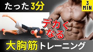 【胸筋筋トレ】大胸筋の上部下部を鍛える3分間／腰に負担なく鍛えるトレーニング！ [upl. by Eisej733]