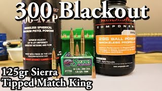 300 BLK  125gr Sierra Tipped Match King [upl. by Gwenette852]