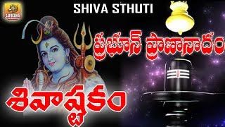 Prabhum Prananatham Vibhum Vishwanatham  Shiva ashtakam  Shiva Stuti Telugu  Shiva Stotram [upl. by Heck]