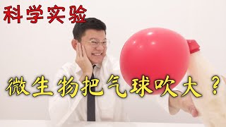 科学 六年级 微生物 实验 SCIENCE EXPERIMENT PART 1 [upl. by Anin]