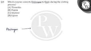 Which enzyme converts fibrinogen to fibrin during the clotting process [upl. by Atiran]