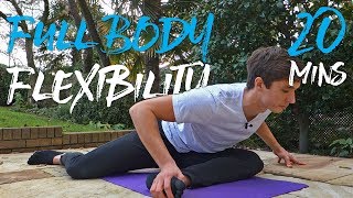 20 Minute Full Body Flexibility Routine FOLLOW ALONG [upl. by Acino]