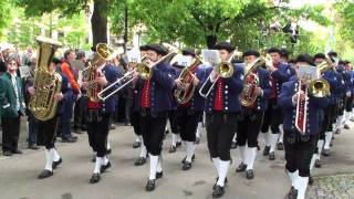 Musikverein MV Zainingen beim Landesmusikfest 2010 in Metzingen Marschmusikbewertung [upl. by Einnoj]