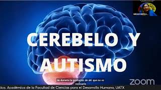 CEREBELO Y AUTISMO [upl. by Rubens767]