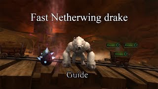 Fast Exalted Netherwing Drakes Guide [upl. by Gorlin]