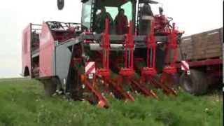 Dewulf ZKIV  4row selfpropelled carrot harvester [upl. by Eiral]