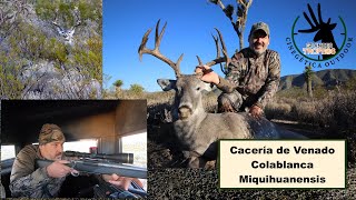 Cacería de Venado Colablanca Miquihuana en Coahuila para Grandes Trofeos del 29 de Noviembre [upl. by Fletcher291]