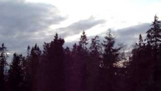 Great Horned Owl call  Whidbey Island Wa [upl. by Thatcher]