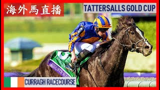 【海外馬直播】Tattersalls Gold Cup 達德素金盃 Irish 1000 Guineas 愛爾蘭一千堅尼 Curragh Racecourse 卻拉馬場 Ireland 愛爾蘭 [upl. by Aysahc166]