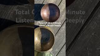 Total CALM in 1 minute Zen Meditation Room Soothing Tibetan Singing Bowls Vibration Sound Bath Heal [upl. by Ahsienel]