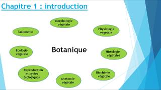 biologie végétale [upl. by Eart167]