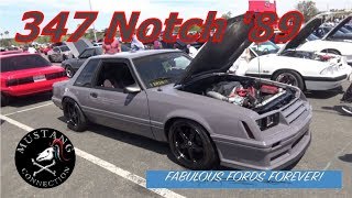 1989 Mustang Notch 50 stroked to a 347 with over 600 HP Fabulous Fords Forever 2019 [upl. by Nylasoj]