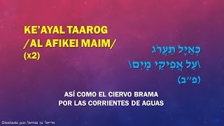 Midor Ledor  Hine Keeinei Avadim amp Keayal Taarog [upl. by Ekaj]