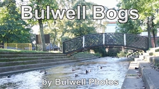 Bulwell TV 1  Bulwell Bogs [upl. by Beller]