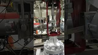 Masoneilan Globe Valve Faction test and seat leak Test by Ventil Machine [upl. by Laenahtan]