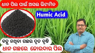 Humic Acid Humic acid Fertilizer ଧାନ ପିଲ ପାଇଁ ଅସଲ vitamin [upl. by Dahle]