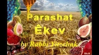 46  Torah Parashah Eikev Cause amp Effect quotas a result [upl. by Mcmaster]